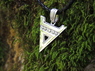 Знак Велеса (с велесовиками)