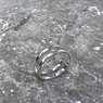 Кольцо двойное